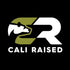 Cali Raised LED