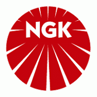 NGK - Tuning4 Auto Parts