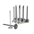 Skunk2 Honda K20C1 Alpha Series Intake & Exhaust Valve Set (Standard Compression)