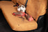 Covercraft 24-26 Jeep Wrangler Fr Buckets Carhartt SeatSaver Custom Front Row Seat Cover