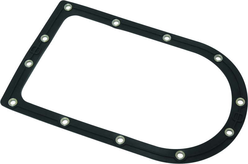 Twin Power 04-08 FXDWG 08-17 FXDF Fuel Pump Plate Seal Viton Replaces H-D 75249-04A