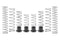 Eibach 24-26 Can-Am Maverick X3 MAX Pro-UTV Stage 2 Kit - Set of 8