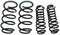 Ford Racing 2013 Cobra Jet Spring Kit