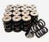 GSC P-D Honda B-Series Vtec Dual Spring Set and Titanium Retainer