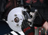 DBA 04 Pontiac GTO Front Slotted Street Series Rotor