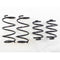 RS-R 13+ Nissan Sentra (TB17 (B17)) Down Sus Springs