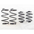 RS-R 13+ Nissan Sentra (TB17 (B17)) Down Sus Springs