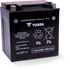 Yuasa YIX30L-BS High Performance Maintenance Free AGM 12 Volt Battery (Bottle Supplied)