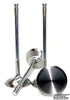 GSC P-D Audi V10 5.2L 33.8mm Head STD 104.4mm Long Chrome Polished Intake Valve - Set of 10