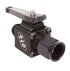 Peterson Fluid Systems Ball Valve Assembly -6AN x -6AN Female