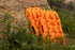 DV8 Offroad DV8 Xtract Mini Traction Board | Pair | Orange
