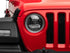 Photo - Close Up