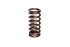 COMP Cams Valve Spring 0.970in Inner