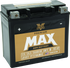 Twin Power GYZ-20HL Premium MAX Battery Replaces H-D 65989-97A Made in USA