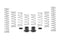 Eibach 14-16 Polaris RZR XP 4 1000 EPS Pro-UTV Stage 2 Performance Springs