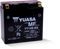 Yuasa YT14B-BS Maintenance Free 12 Volt AGM Battery (Bottle Supplied)