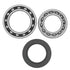 QuadBoss 89-91 Yamaha YFM250 Moto-4 Rear ATV Wheel Bearing & Seal Kit