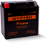 Yuasa GYZ16H High Performance Maintenance Free AGM 12 Volt Battery