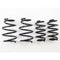 RS-R 2015-2021 Lexus NX200t AWD/FWD (AGZ10 / AGZ15) Down Sus Springs