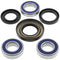 QuadBoss Rear ATV Wheel Bearing & Seal Kit for 00-06 Honda TRX350FE FourTrax Rancher 4x4 ES - 413293