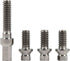 ALL17006.jpg