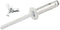 Allstar Performance Sm Hd Rivet 250pk White Flange Type