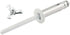 Allstar Performance Sm Hd Rivet 250pk White Flange Type