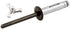 Allstar Performance Sm Hd Rivet 250pk Black Flange Type