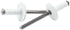 Allstar Performance Lg Hd Rivet White 250pk Multi Grip