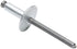 Allstar Performance Lg Hd Rivet Silver 250pk