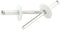 Allstar Performance Lg Hd Rivet White Alum 250pk
