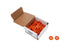 Allstar Performance Body Bolt Washer Plastic Orange 50pk