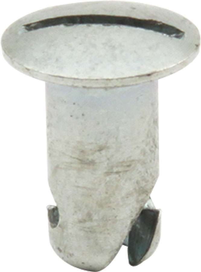 ALL19213.jpg