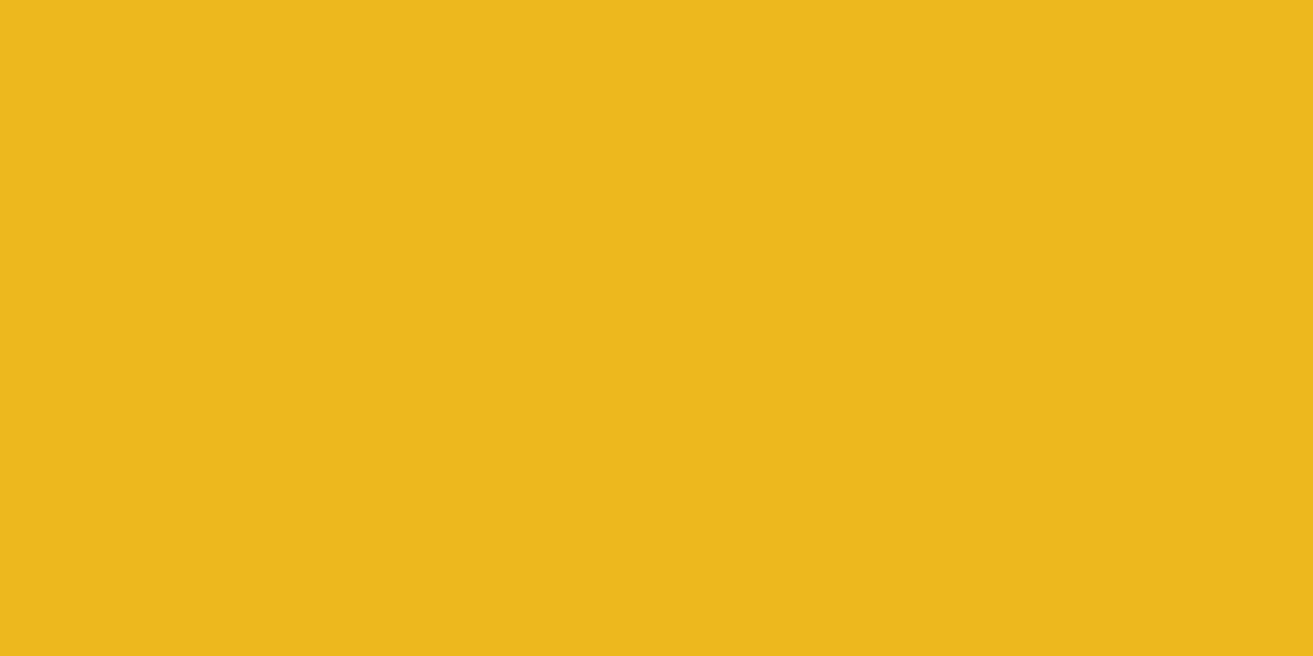 Allstar Performance 4x8 Plastic Yellow .100in