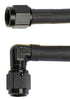 ALL48399.jpg