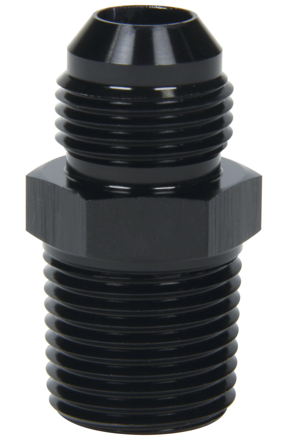 ALL49506.jpg