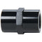 Allstar Performance Female Union Aluminum 1/8in to 1/8in NPT