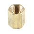 Allstar Performance Inverted Flare Union 3/16in Line 3/8-24 50pk