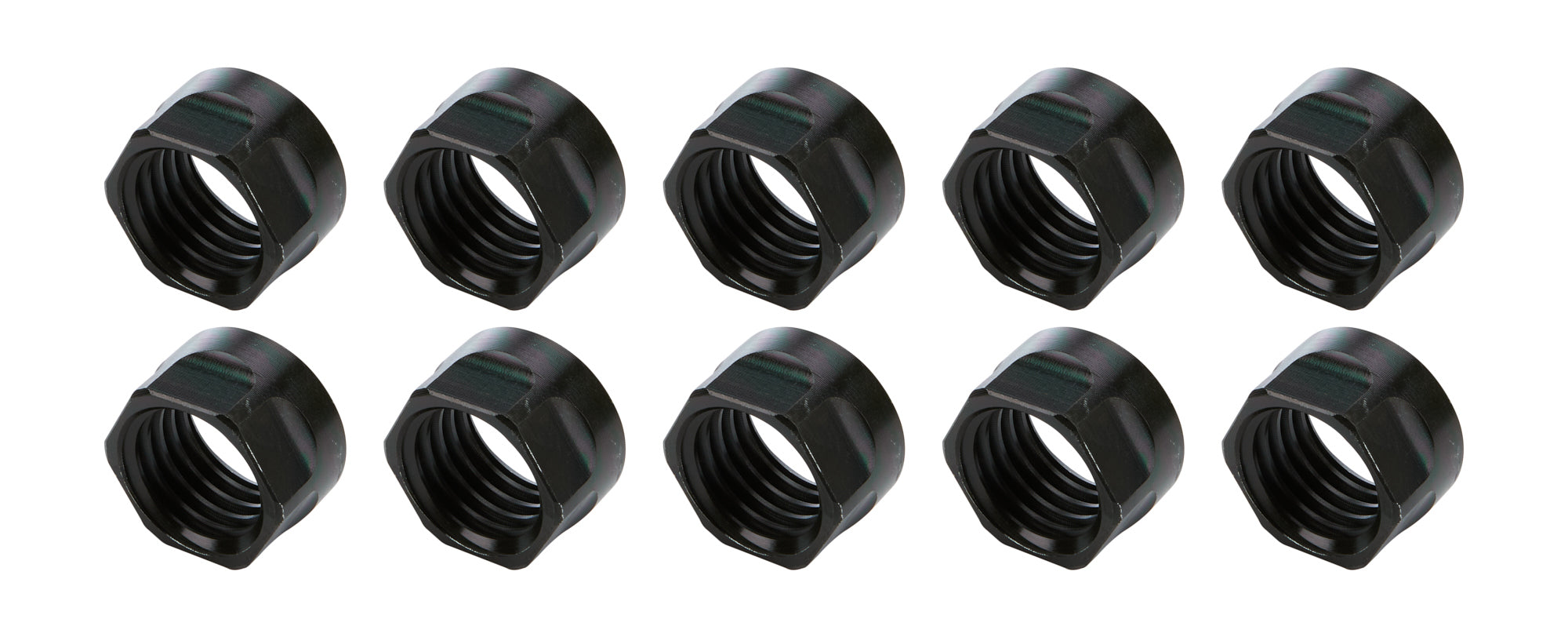 ALL56068-10.jpg