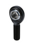 Allstar Performance Pro Rod End LH Moly PTFE Lined 5/8