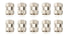 Allstar Performance Valve Stem Cap 10pk ALL99151