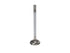 Manley Ford GT350 Voodoo 5.2L Race Master Series Exhaust Valve Set - 1.280in Dia