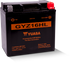 Yuasa GYZ16HL High Performance Maintenance Free AGM 12 Volt Battery