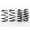 RS-R 10+ Lexus CT200h (ZWA10) Down Sus Springs