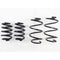 RS-R 09+ Nissan GT-R TI2000 Down Sus Springs