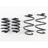 RS-R 09+ Nissan GT-R TI2000 Down Sus Springs