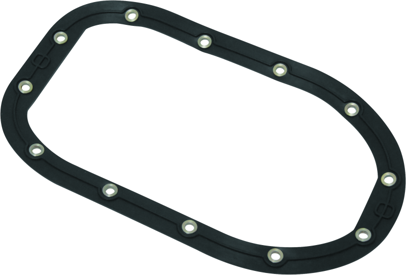 Twin Power 06-17 Dyna Models Fuel Pump Plate Seal Viton Replaces H-D 75248-04