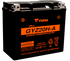 Yuasa GYZ20HA High Performance Maintenance Free AGM 12 Volt Battery