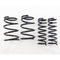 RS-R 14-15 Subaru Forester Non-Turbo Down Sus Springs