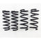 RS-R 2007-2015 Infiniti G37 2dr/4dr RWD (CKV36) Down Sus Springs